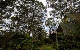 Green Leaves Cabin